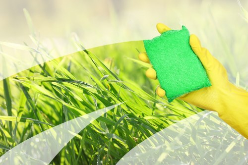 Living room sofa cleaning with vacuum and upholstery care
