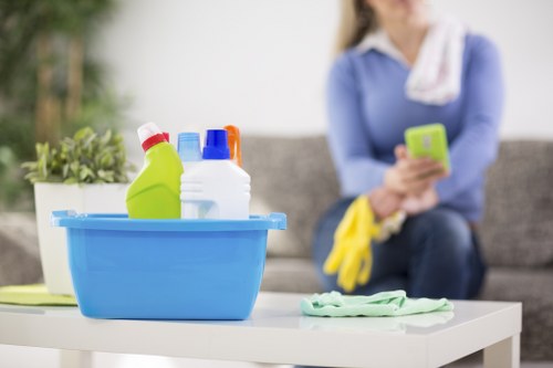 Enzyme cleaner used for pet stain odour removal