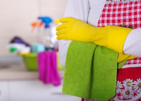 Common stain types and cleaning products arranged on a table